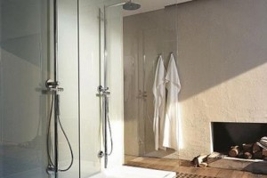 Räuchereiche im Badezimmer Dusche Bad Homburg